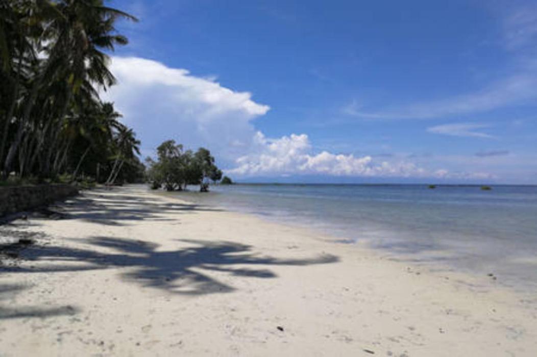 Bamboo Nest Beachfront Puerto Princesa Екстериор снимка